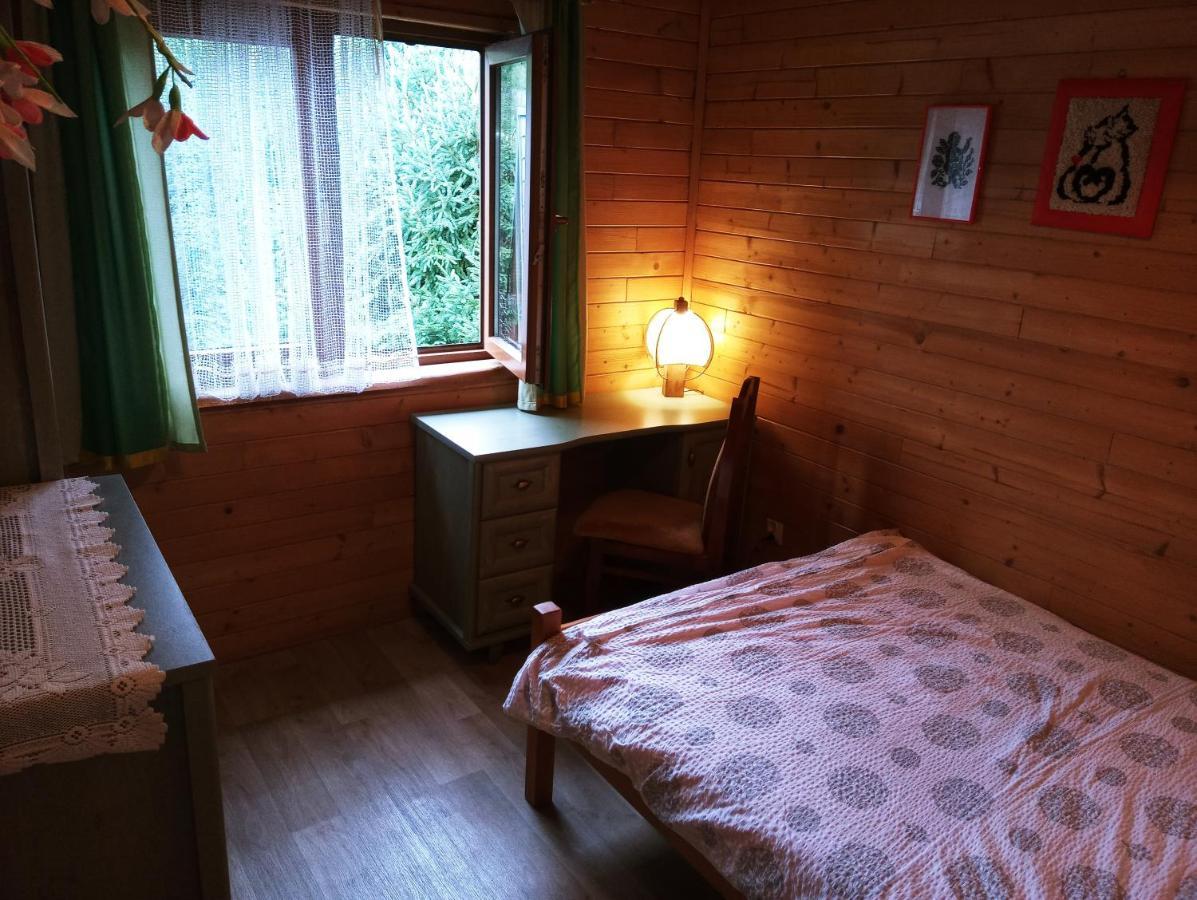 Villa Cztery Pory Roku - Dom à Lutowiska Extérieur photo