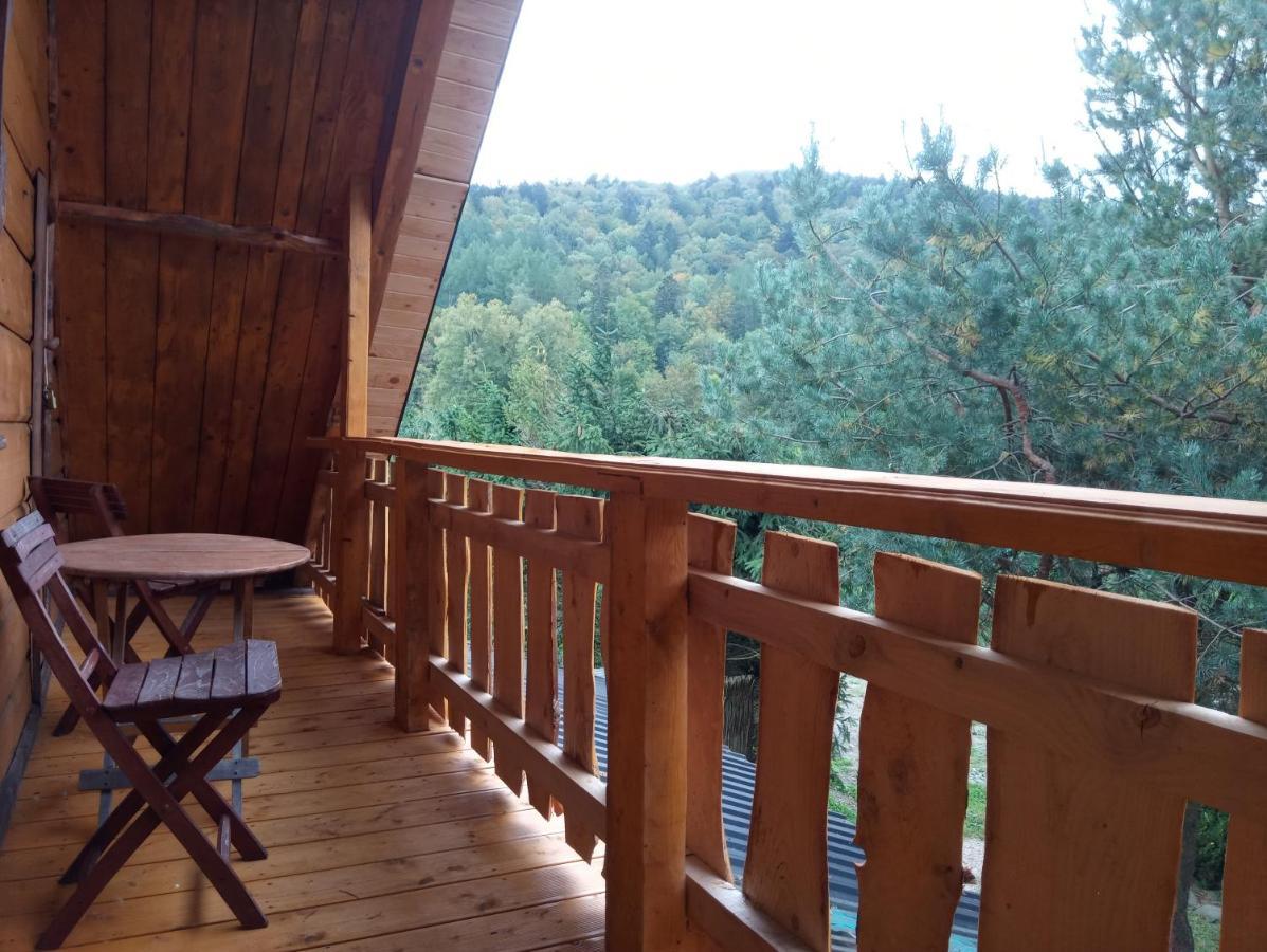 Villa Cztery Pory Roku - Dom à Lutowiska Extérieur photo