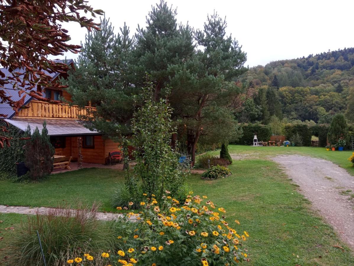Villa Cztery Pory Roku - Dom à Lutowiska Extérieur photo